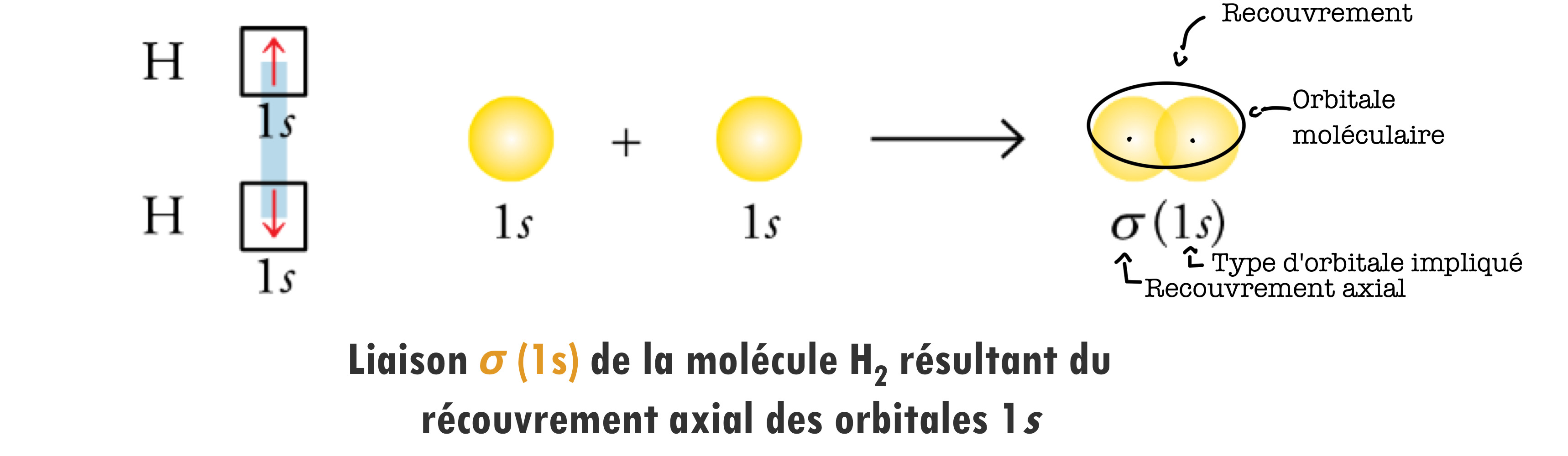 <p>Le recouvrement, c'est quand deux orbitales atomiques de deux atomes se croisent ou se superposent pour former une liaison chimique.</p>
