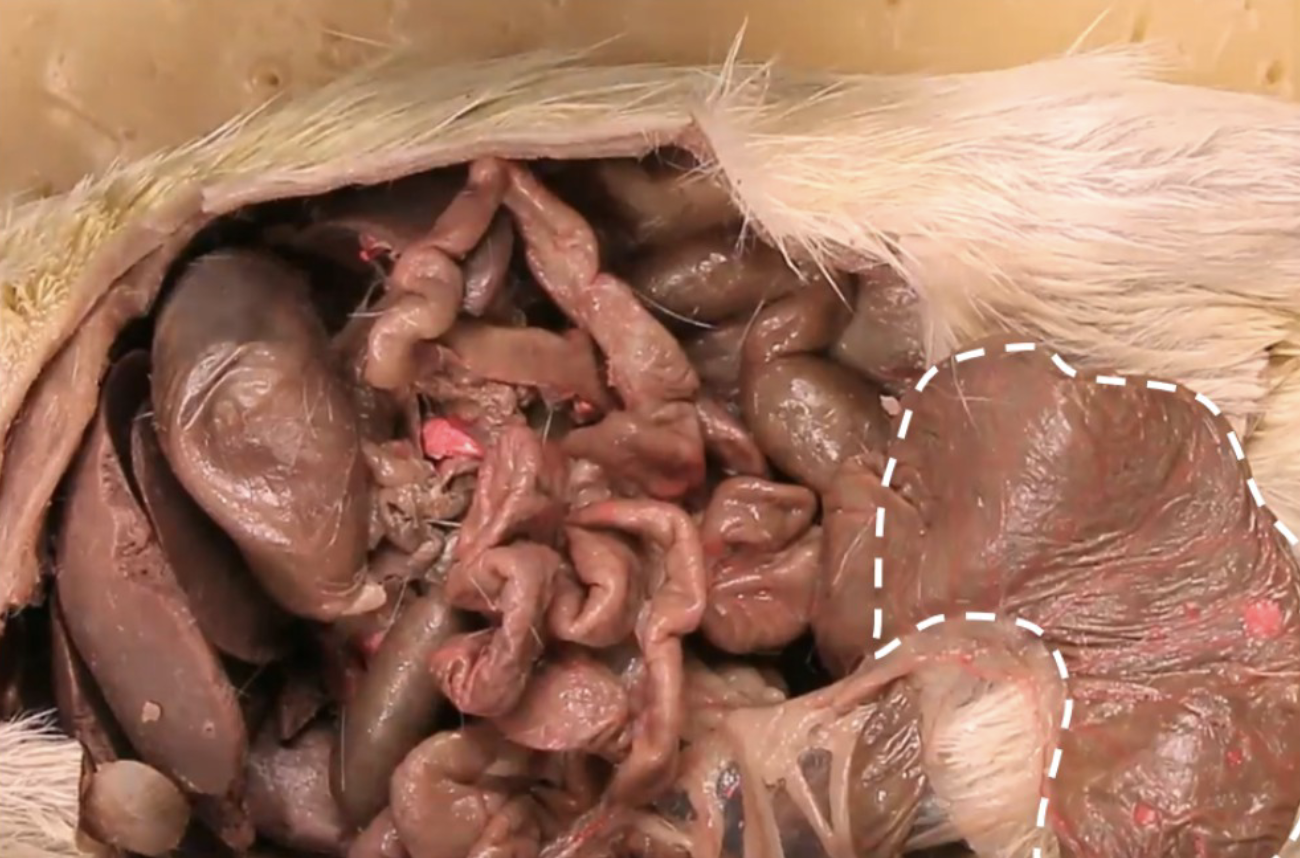 <p>What is this?</p>