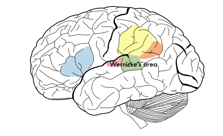 <p>comprehension</p>