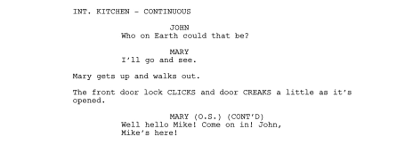 <p>script, screenplay</p>
