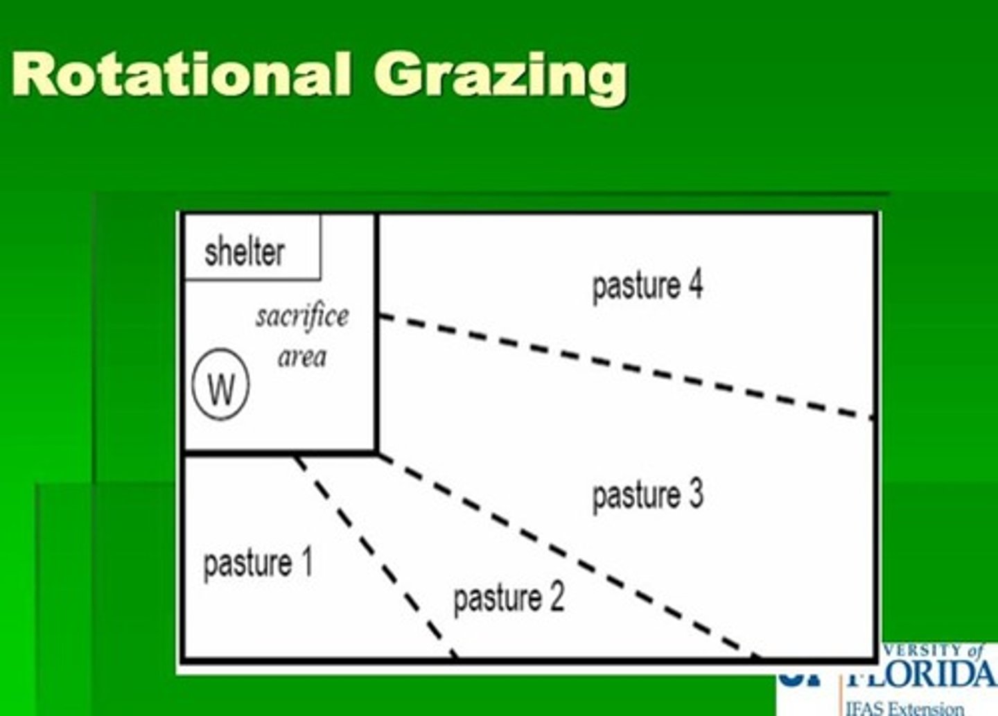 <p>Dividing pasture into cells and allowing access to one cell at a time.</p>
