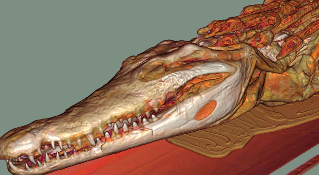 <p>When the data is inherently spatial or volumetric so spatial relationships are critical.</p>