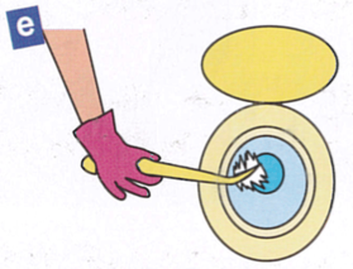 <p>to clean the toilet</p>