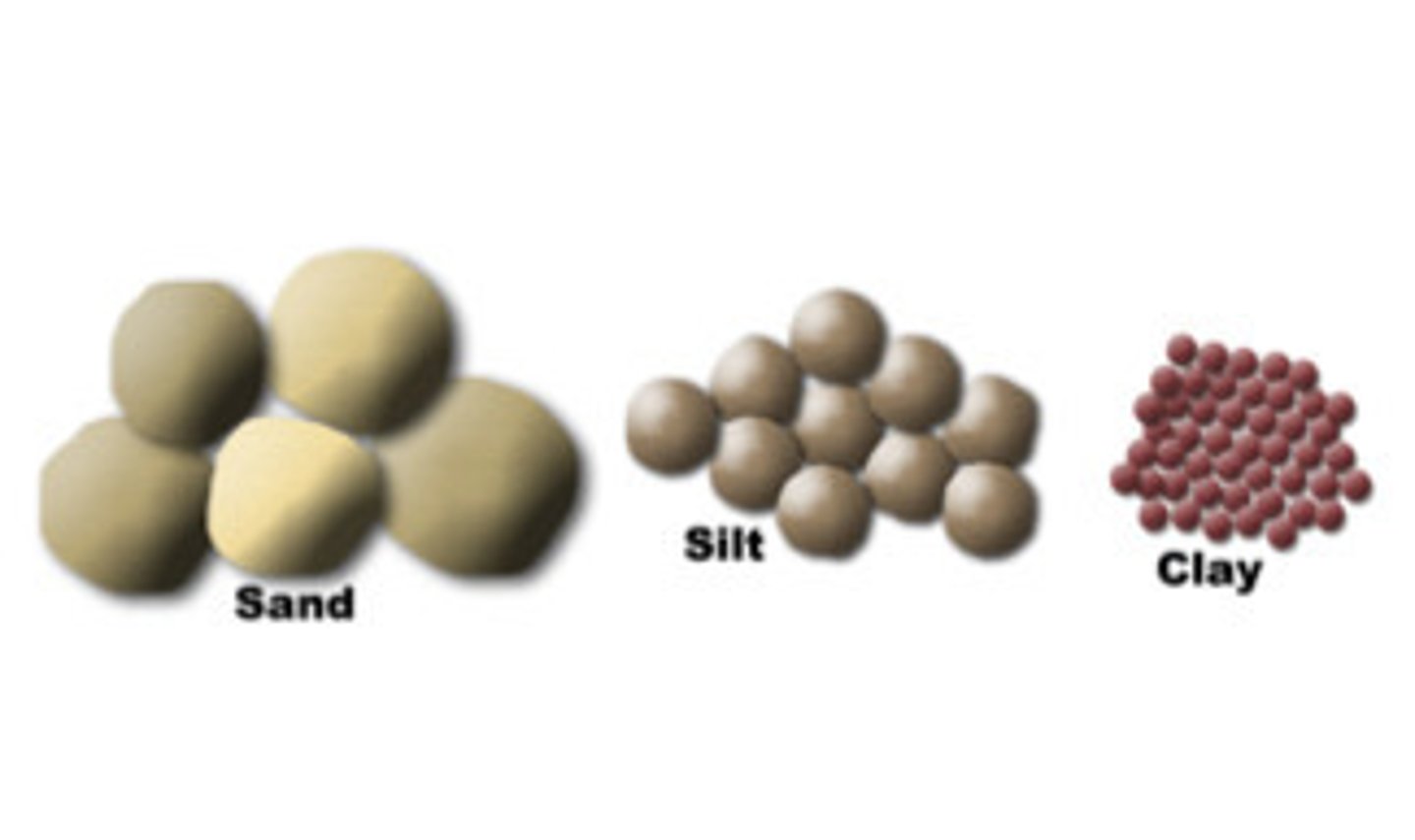 <p>the coarsest soil, with particles 0.05,2.0 mm in diameter.</p>