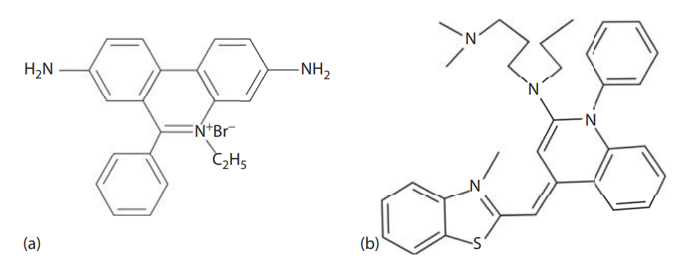 Intercalating agents used as nucleic acid stains. (a) Chemical structure of ethidium bromide. Ethidium bromide has UV absorbance. The emission maximum of the DNA–dye complex in aqueous solution is approximately 590 nm. (b) Chemical structure of SYBR Green 1. The stain is a cyanine dye that binds to DNA and is used as a nucleic acid stain. The excitation and emission maxima of the DNA–dye complex are 494 and 521 nm, respectively.