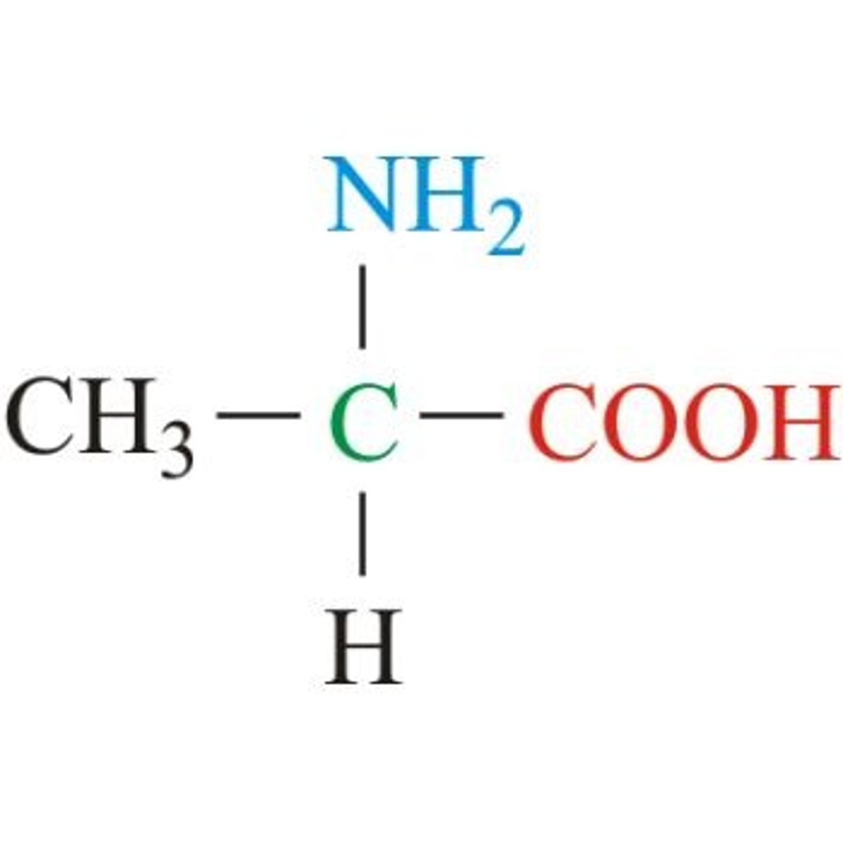<p>Aliphatic, non-polar, and hydrophobic</p><p>R: methyl group</p>