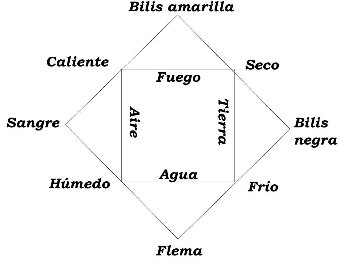 - Ausencia de distinción entre forma y función
- Basada en esqueletos humanos y disecciones humanas ocasionales
- La mayoría eran disecciones de animales (monos, cerdos, ovejas, gatos, bueyes, perros…)
- Por analogía → Ser humano
- No hay anatomía, sino anatomofisiología
- Describe la figura del cuerpo humano en la plenitud del movimiento vital (animal vivo)
→ Mano y brazo: Condición racional
→ Pierna y pie: Potencias dinámicas
→ Órganos internos
→ Cabeza y tronco
→ Genitales
→ Venas, arterias y nervios
- Anatomía general aristotélica
- Convierte en canónico el tratado hipocrático sobre la naturaleza del hombre que asocia:
→ Los 4 elementos de Empedocles
→ Los 4 humores cardinales
→ Los 4 pares de cualidades opuestas