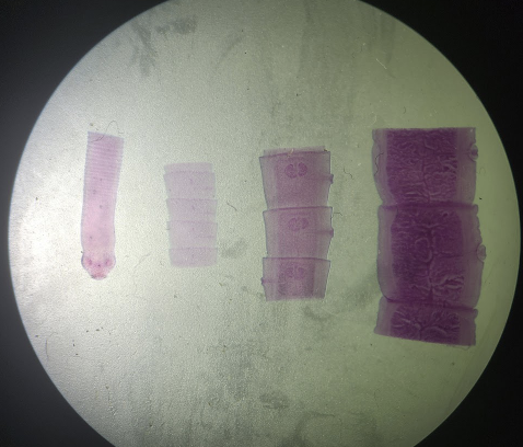 <p>What is this?</p>