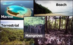 All of the different biological communities on Earth result from their associations with the non-living components (geology, chemistry...) in their local environments

- Provides ecological services for people
- Clean air, clean water, climate control, storm protection
- Ex. salt marshes, mangroves