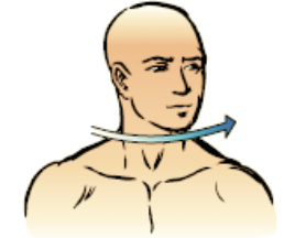 the movement of a bone around its axis