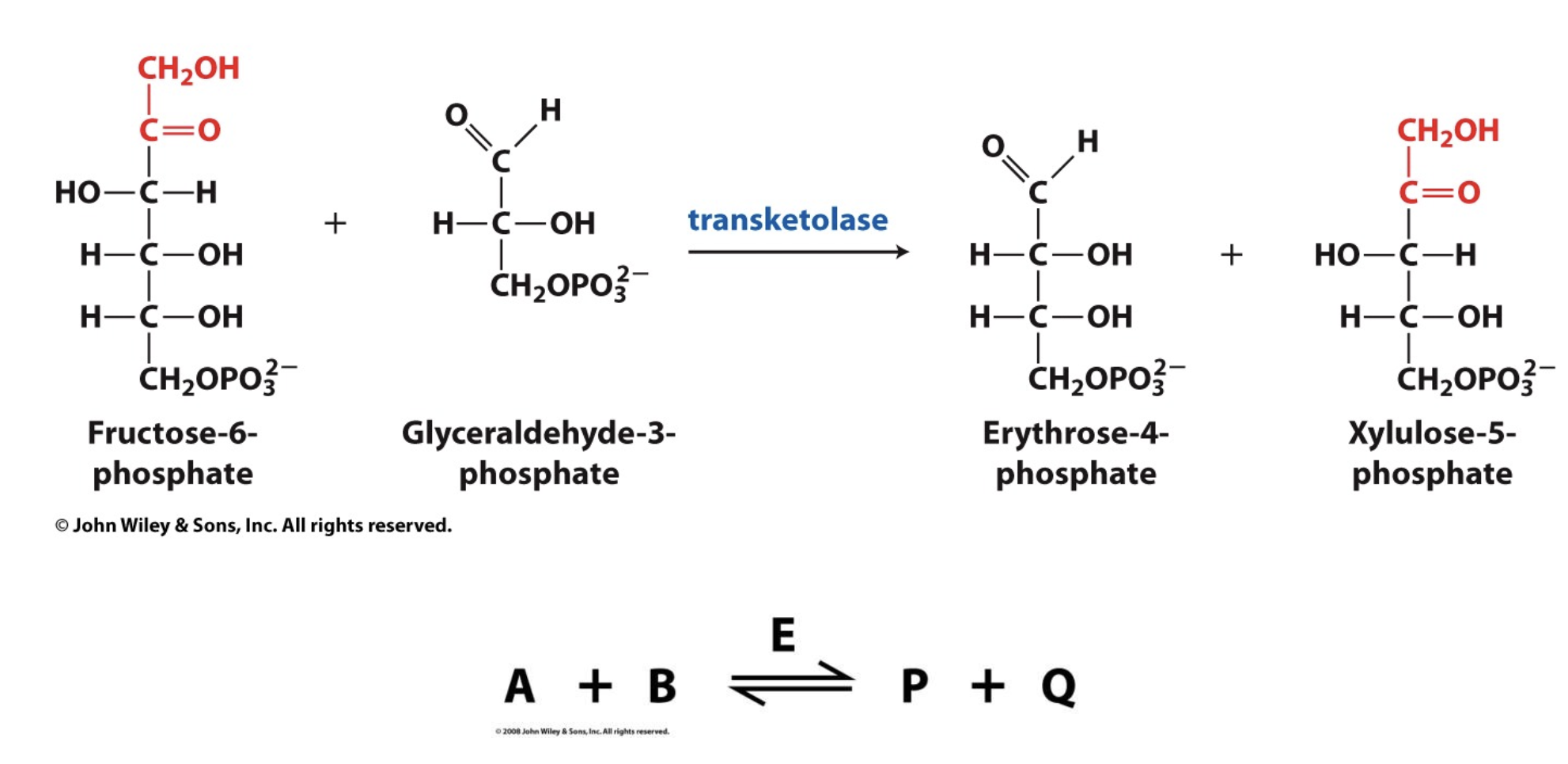 <p>Some enzymes have multiple substrates</p>