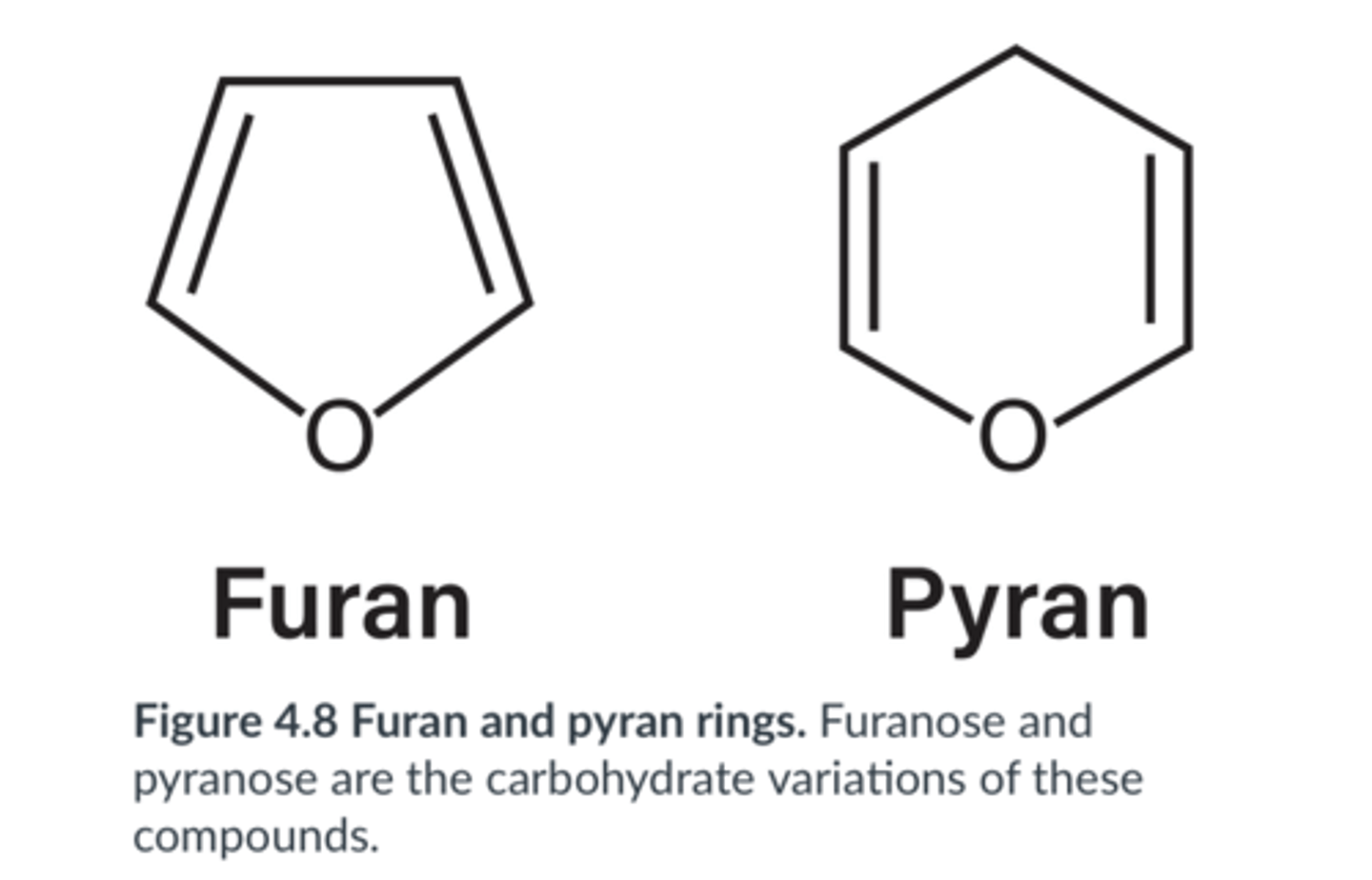 <p>furanose vs. pyranose</p>