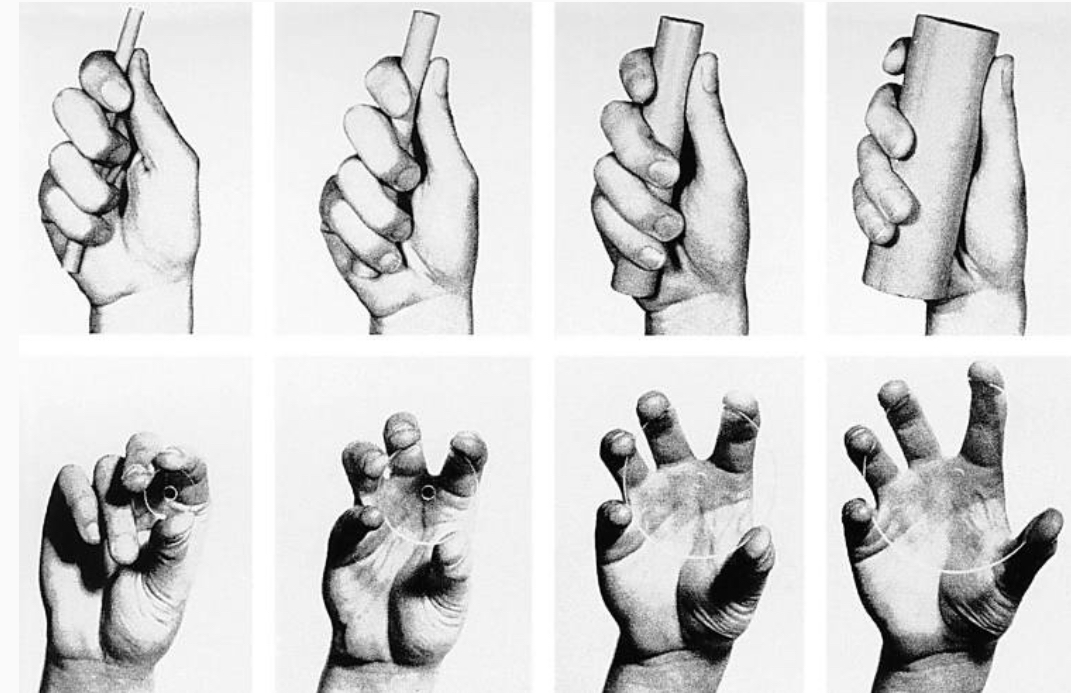 <p><span><strong>Object pulled into hand, rests on thenar muscles</strong></span></p><ul><li><p><span>Strong grip using partially flexed fingers and palm.</span></p></li><li><p><span>Thumb opposes the fingers, stabilizing object</span></p></li><li><p><span>All palmar surfaces (fingers and palm) involved in holding the object firmly.</span></p></li><li><p><span>Wrist typically in a neutral or slightly flexed position to maximize force generated by the larger extrinsic muscles of forearm</span></p></li><li><p><span>For holding or manipulating larger, heavier objects.</span></p></li><li><p><span>Cylindrical (go into palm), spherical (hold ball), hook grips (hold cup)</span></p></li></ul><p></p>