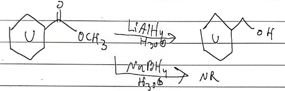 <p>aldehydes, ketones, acids, and esters</p>