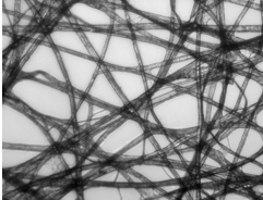 <p>what type of illumination is this</p>