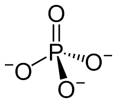 <p>Fosfaat</p>