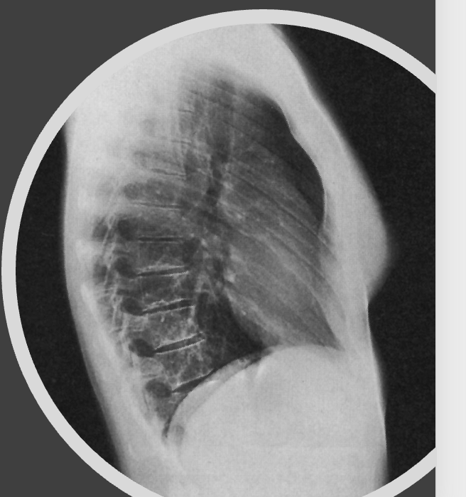 <p>what is this projection </p>