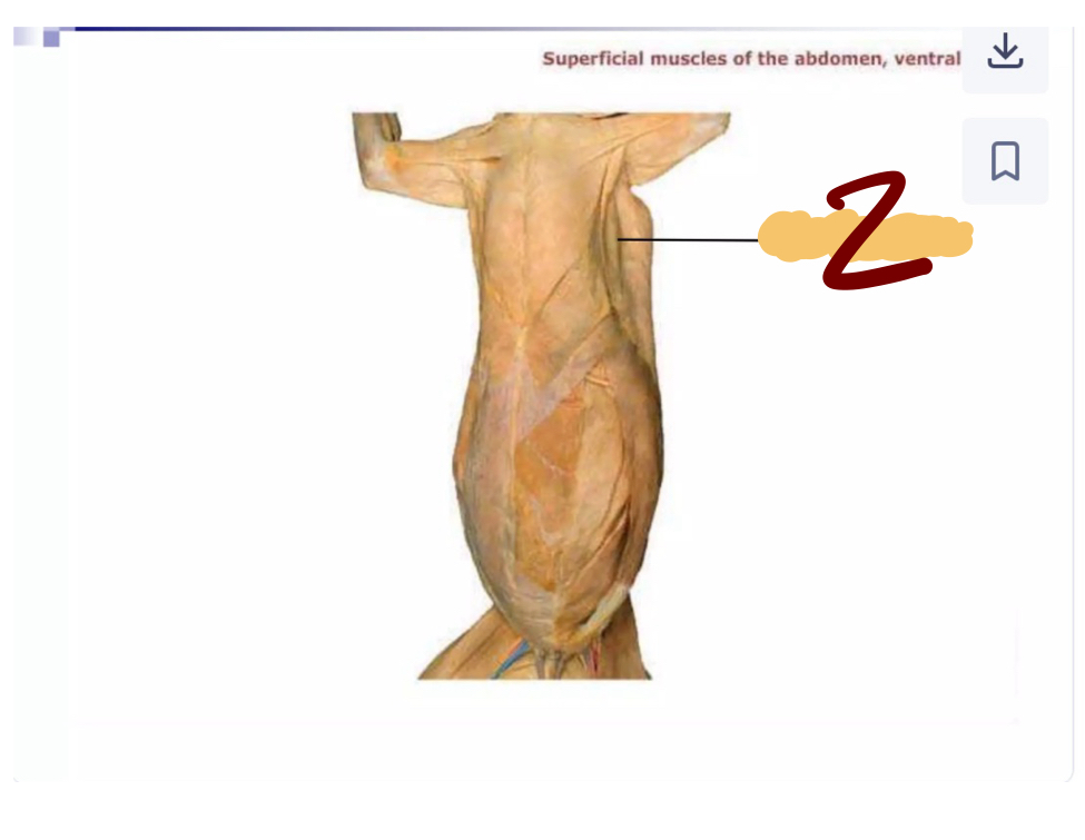 <p>2</p>