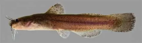 <p></p>