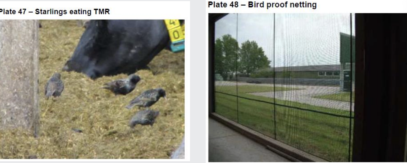 <p>keeping vermin out</p><p>birds, rodents, badgers</p>