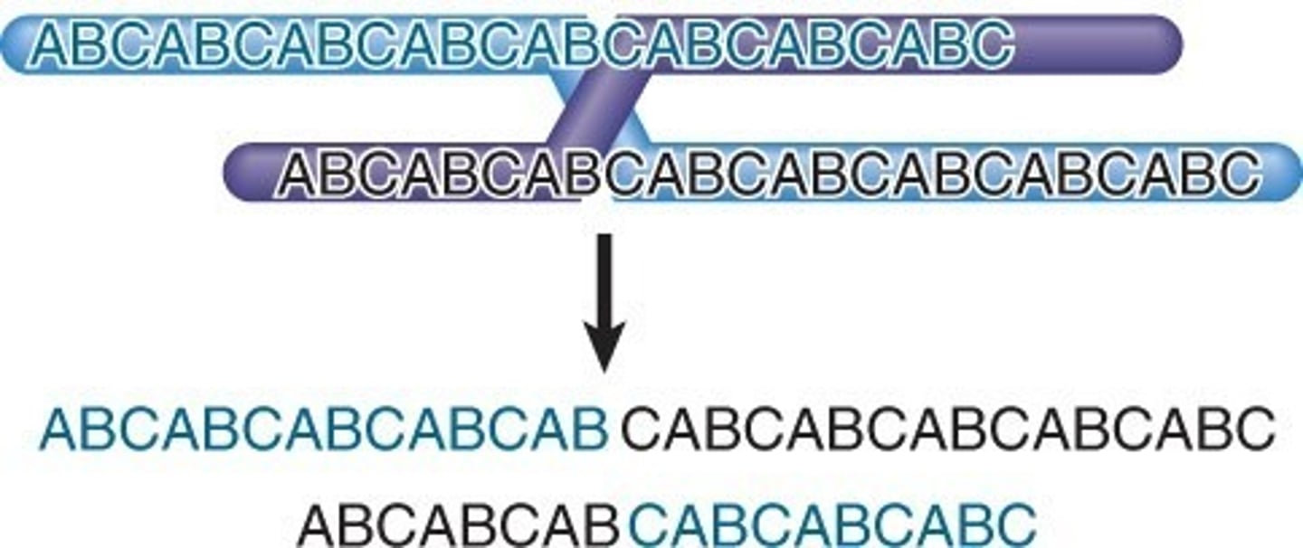 <p># of repeats = 2 to several hundred</p>