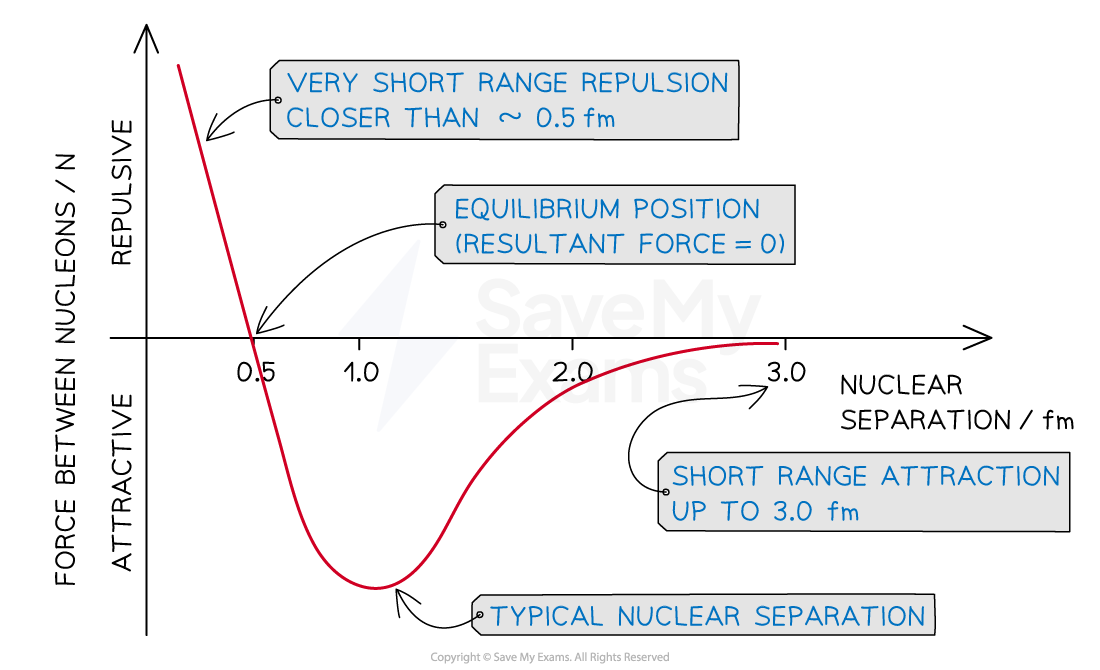 <ol><li><p>Repulsive electric between + charges</p></li><li><p>Attractive grav bc of mass (neglible)</p></li><li><p>Strong nuclear force:attractive &amp; stronger than electric repulsive</p></li></ol><p>Acts between quarks (what prot/neut are made up of)</p><p>Strength depends on seperation between nucleons. Repulsive when too close, very attractive when mid, then slightly attractive. Very small range. </p>