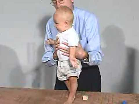 <p><strong>Stimulus:</strong> light pressure or weightbearing on plantar surface</p><p><strong>Response:</strong> legs extend for partial support of body weight</p><p><strong>Age of Suppression:</strong> 3-5 months replaced by <em>volitional weight bearing with support</em></p>