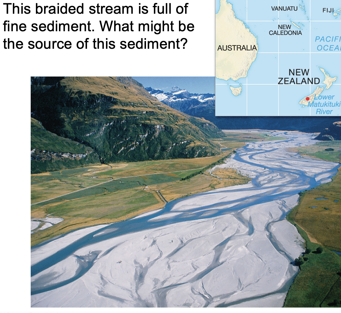 <p>what is braided?</p>