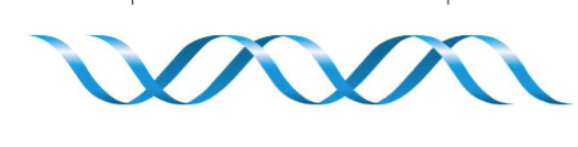 <p>whats this (DNA, RNA, OR AMINO ACID?)</p>