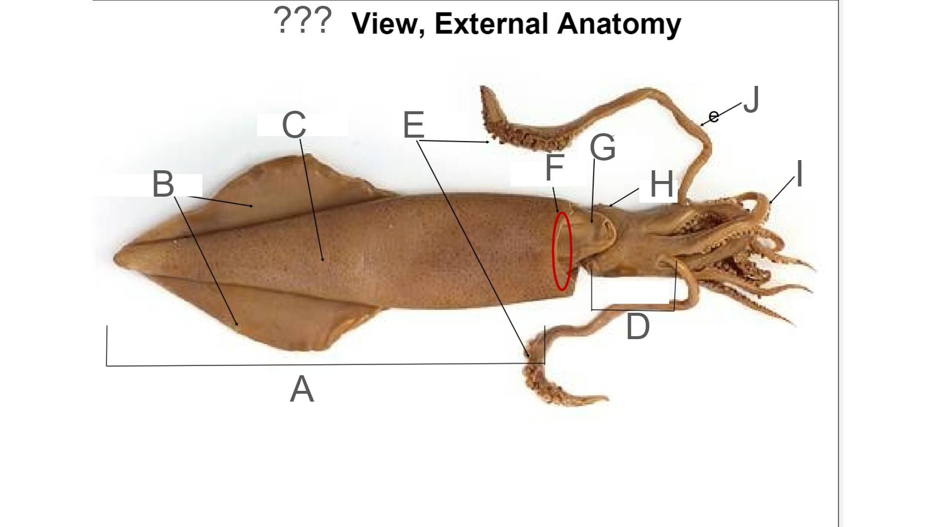 <p>What is C?</p>