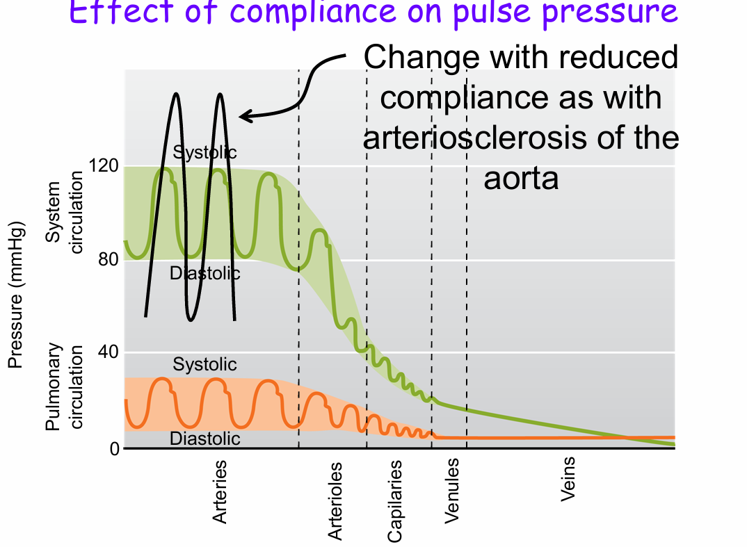 <p>Change with reduced compliance as with arteriosclerosis of the aorta</p>