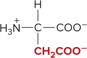 <p>Aspartic acid</p>