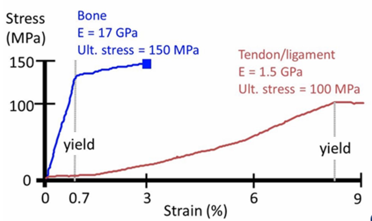 <p>Yield point reached later when strain applied<br>Has a low Young's Modulus, more compliant</p>