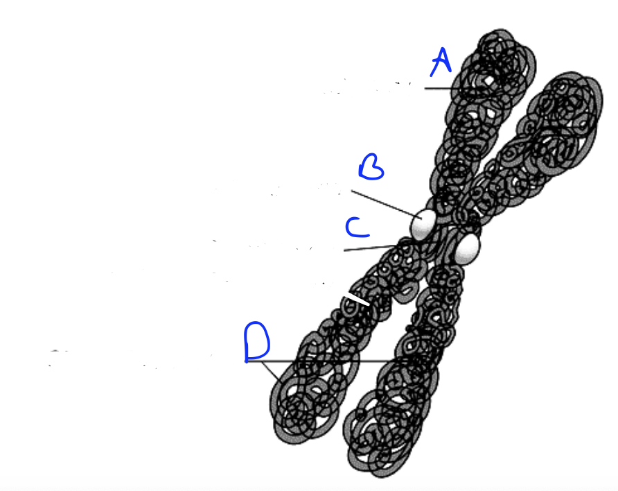 <p>What is A?</p>