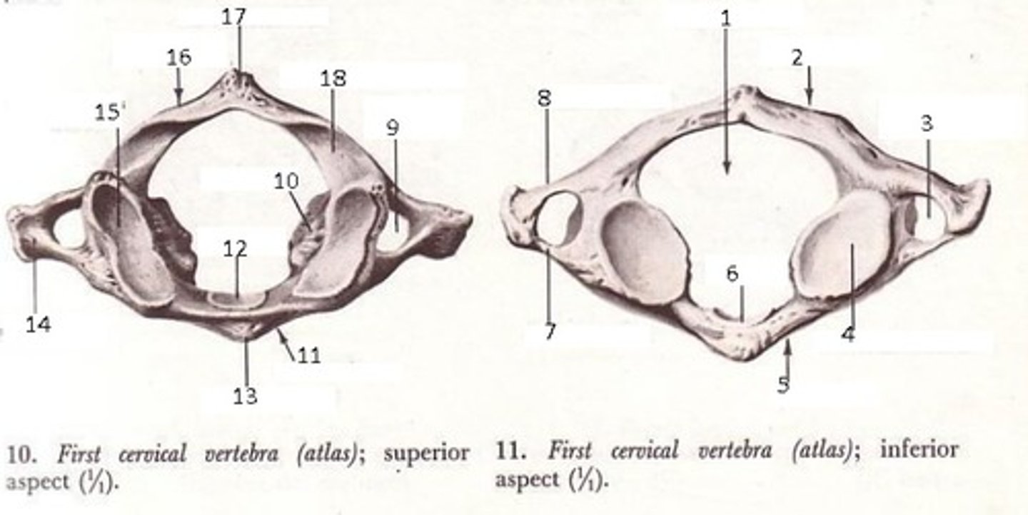 <p>4</p>