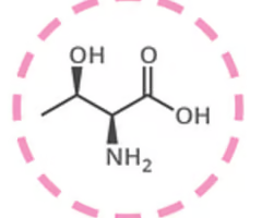 <p>threonine (thr, t)</p>