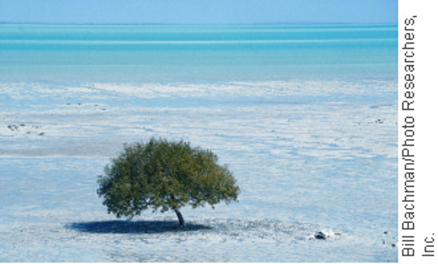 <p>Two low tides in a day</p>