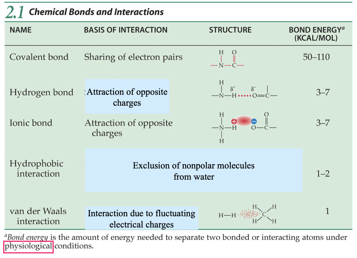 <p>Van Der Waals, Hydrophobic, Ionic = Hydrogen, Covalent</p>