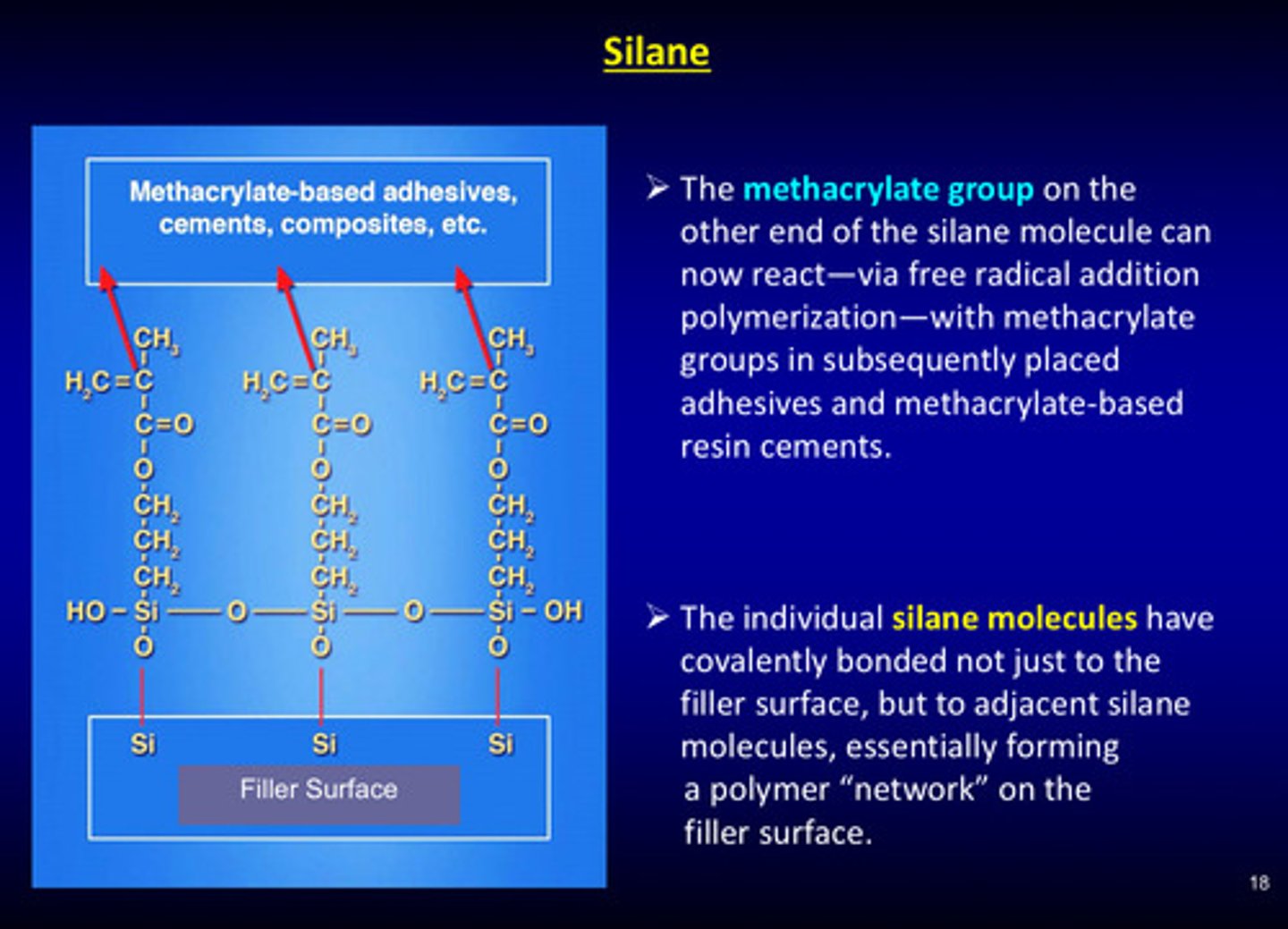 <p>it can now react - via free radical addition polymerization - with methacrylate groups in subsequently placed adhesives and methacrylate-based resin cements (essentially: methacrylate group binds to resin monomers)</p>