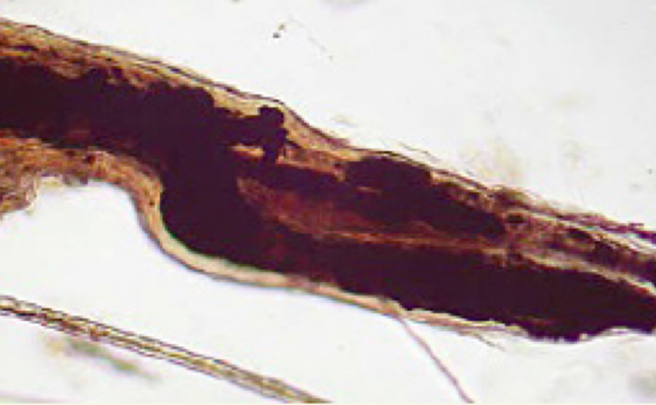 <p>Analyse what is in the photo</p>