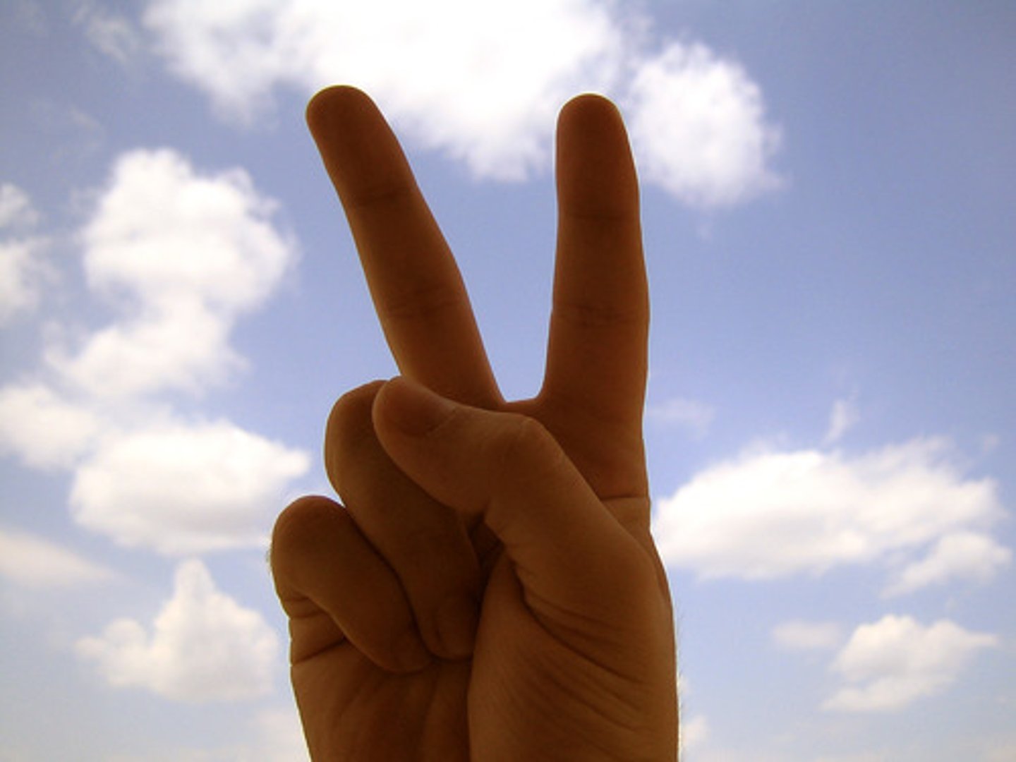 <p>peace</p>