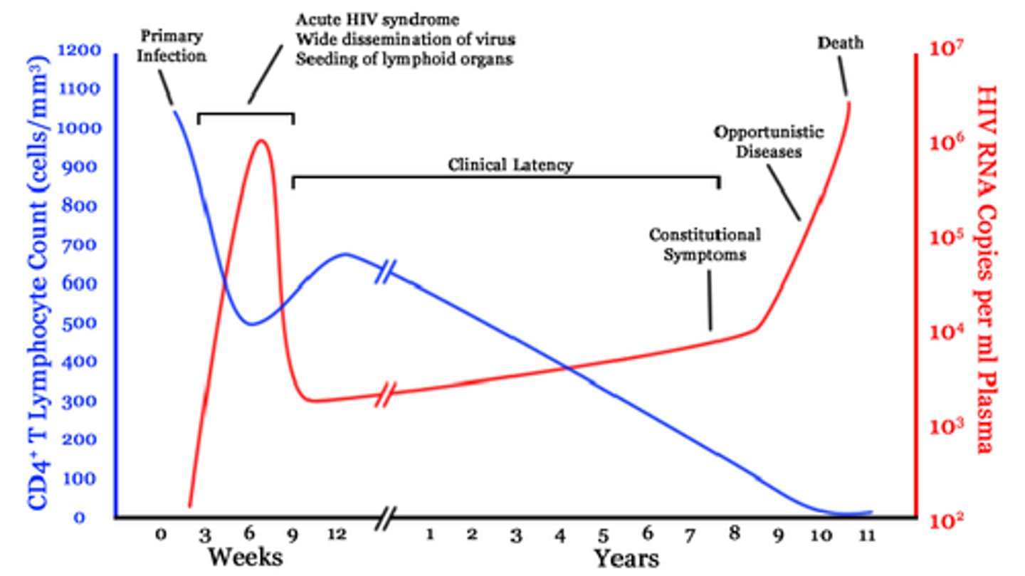 <p>The virus will chronically &amp; progressively deplete CD4 T-cells</p>