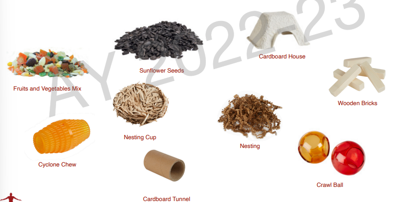 <ul><li><p>fruits and vegetables</p></li><li><p>sunflower seeds</p></li><li><p>cardboard house</p></li><li><p>cardboard tunnel</p></li><li><p>nesting, nesting cup</p></li><li><p>cyclone chew</p></li><li><p>crawl ball</p></li></ul><p></p>