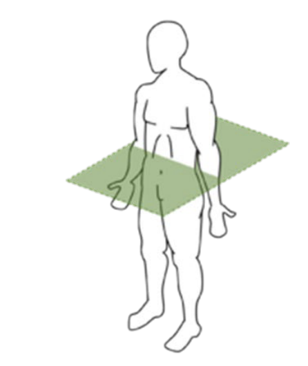 <p>Identify the plane region</p>