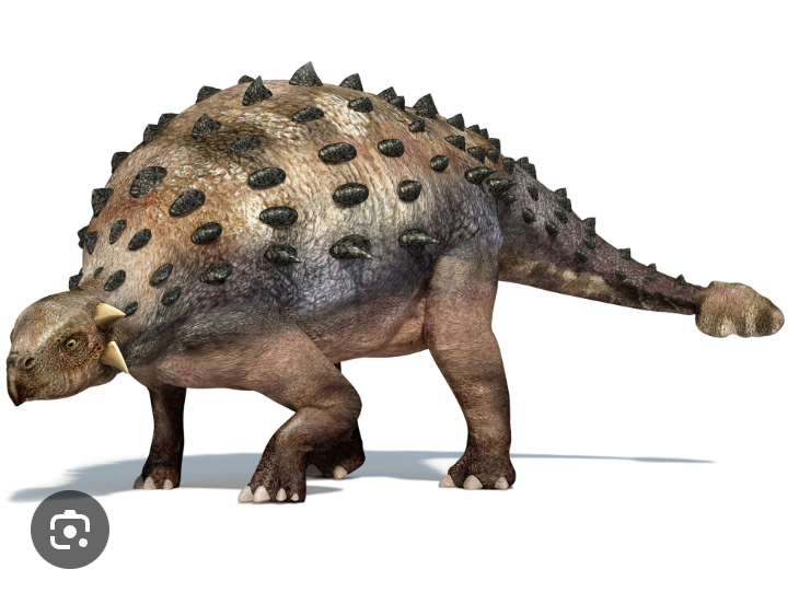 <p>ankylosaurs </p>