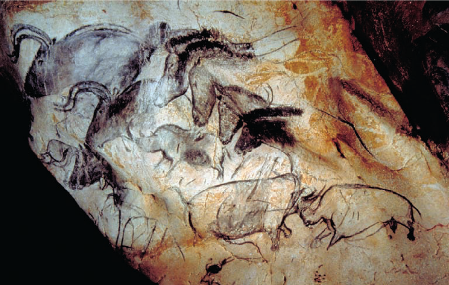 <ul><li><p>Paleolithic</p></li><li><p>Shows horns &amp; features in perspective</p></li><li><p>Possibly the oldest cave painting? (puts in jeopardy the idea of cave art being simple if its the oldest)</p></li></ul><p></p>