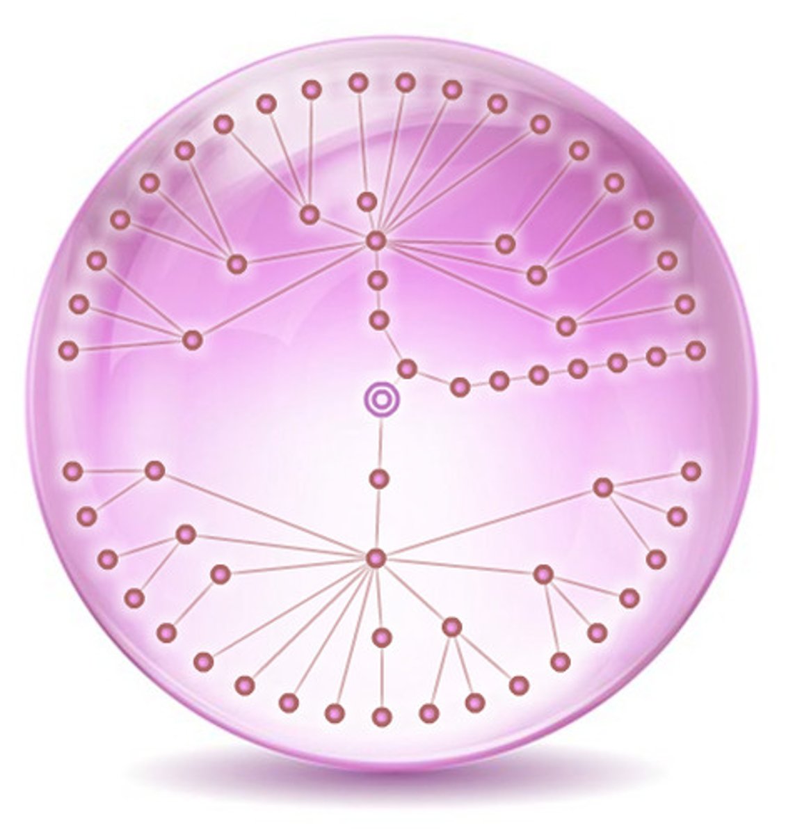 <p>(n.) </p><ul><li><p>an intersection or junction point in a network</p></li><li><p>a part on a plant where a new leaf grows</p></li></ul><p></p>