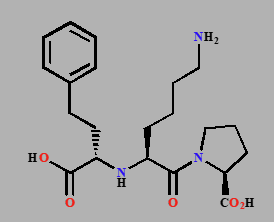 <p>Small polar molecules (MW &lt;200) that cross the gut wall through small pores between cells</p><p>Polar molecules carried across the membrane by transport proteins - amino acids, nucleic acid bases and some drugs (e.g. lisinopril)</p>