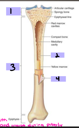 <p>#3</p>