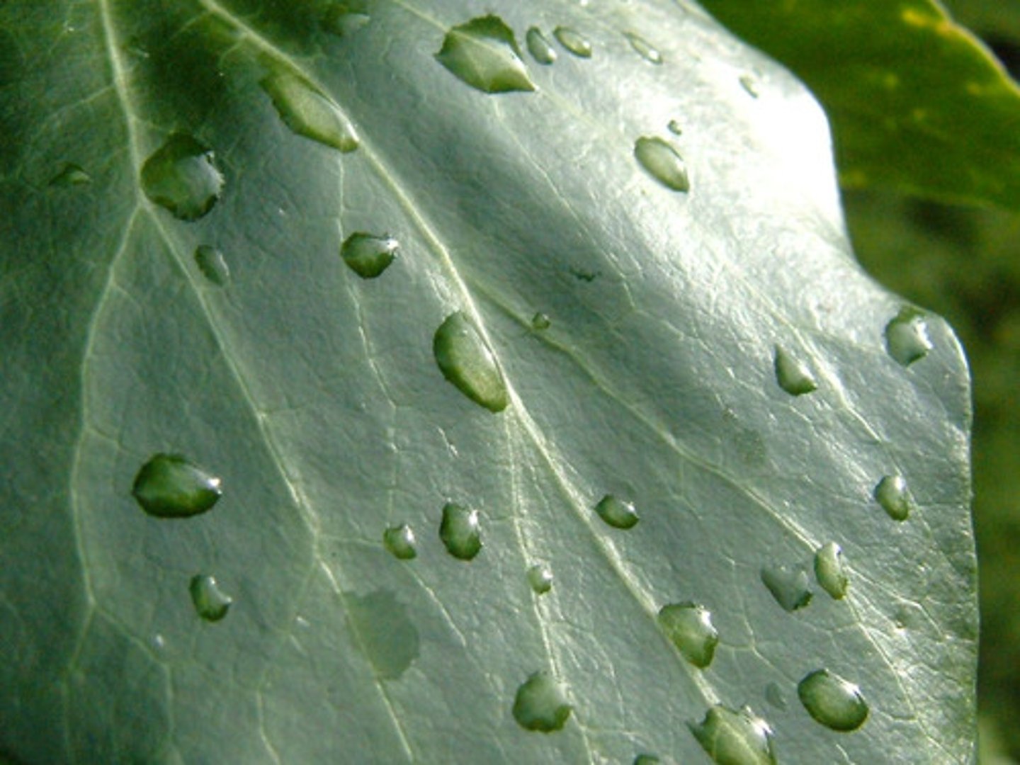 <p>húmedo</p>